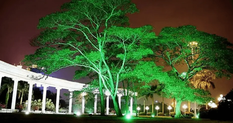 Refletores LED para árvores